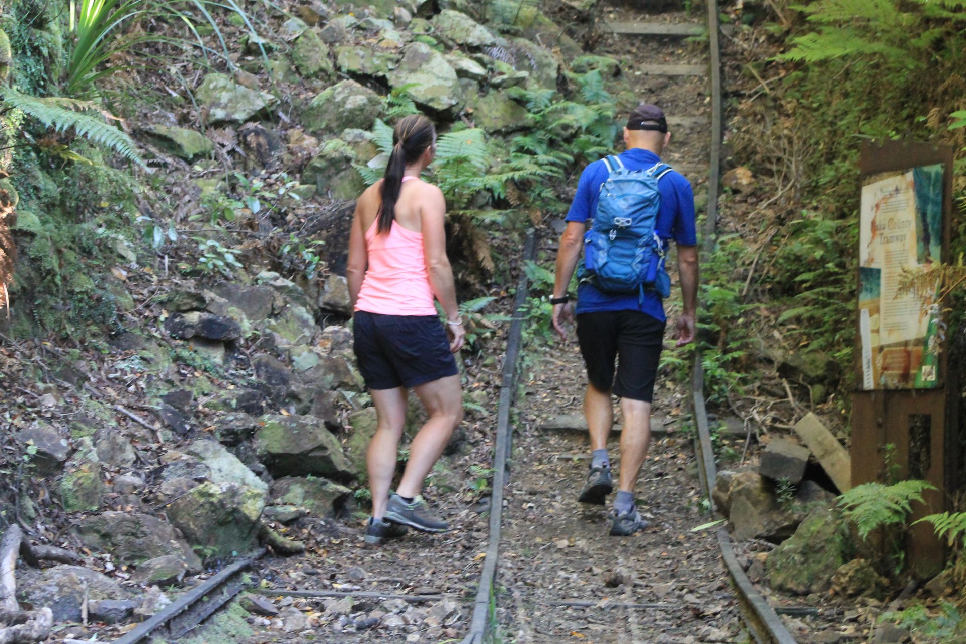 Hiking Butlers incline, Waiorongomai, Kaimai Range