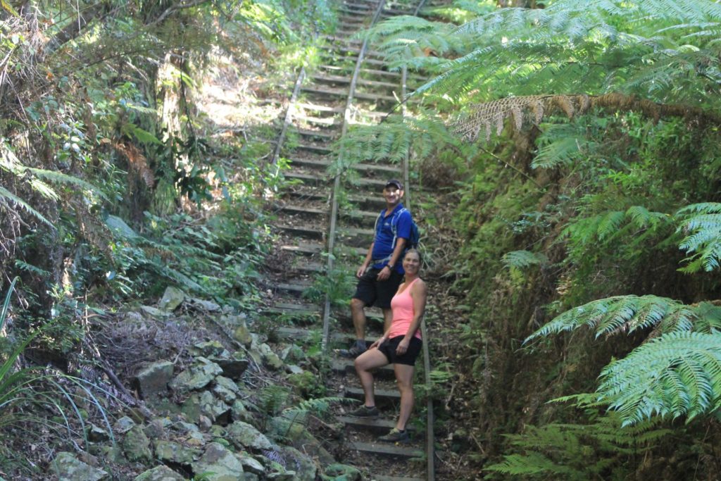 Hiking Butlers incline, Waiorongomai, Kaimai range