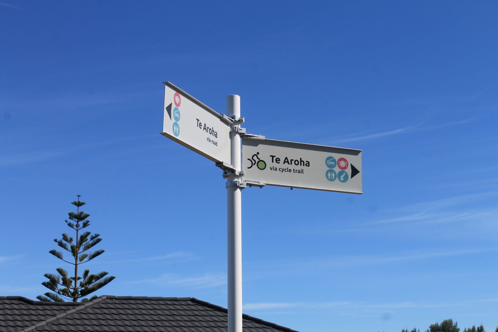 Biking Hauraki rail trail, Te Aroha