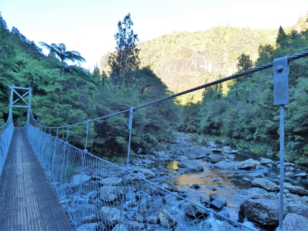 Hiking Waitawheta to Waiorongomai, Kaimai's