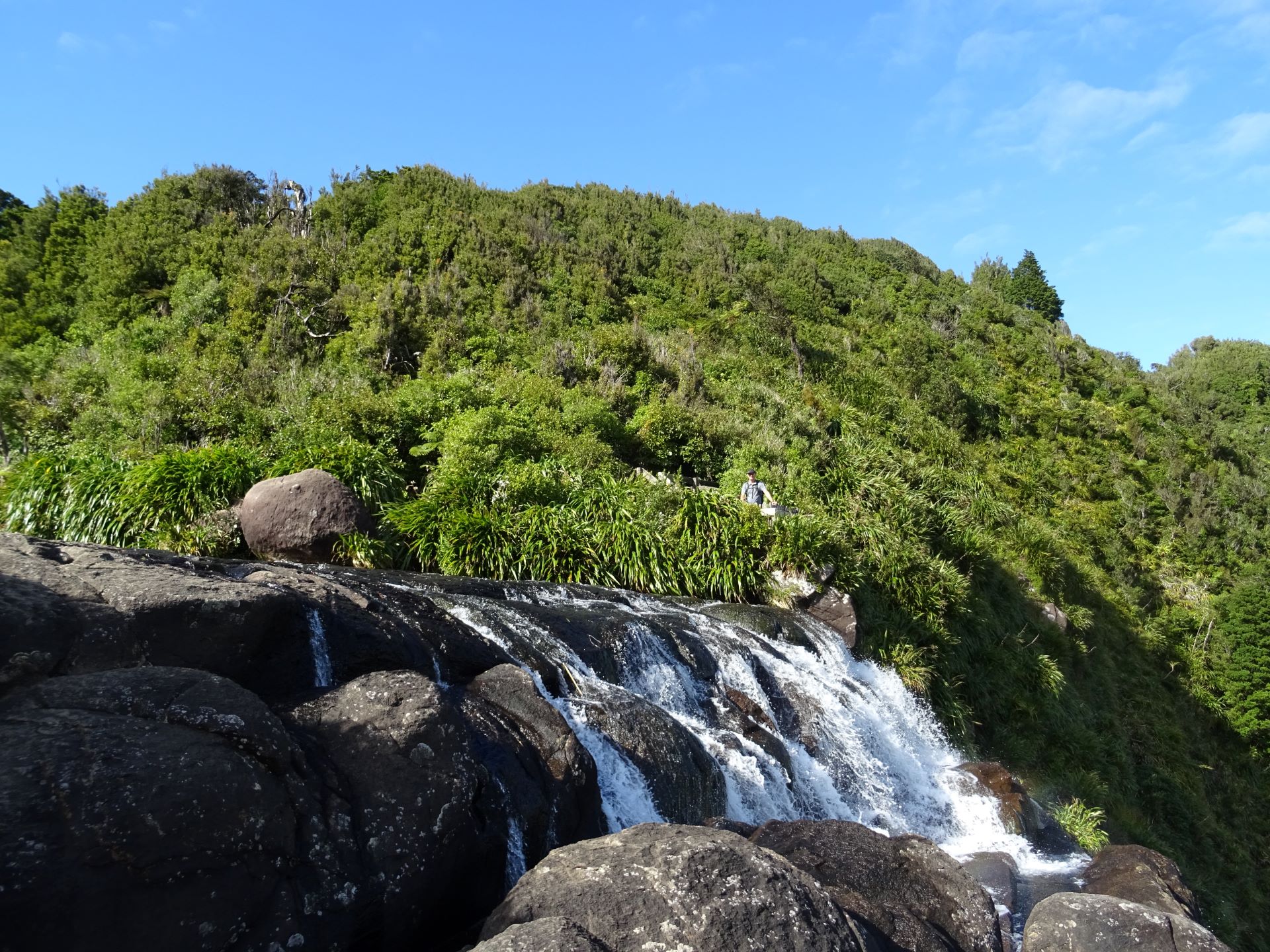 Tramping Wairere falls to Aongatete lodge, Kaimai's