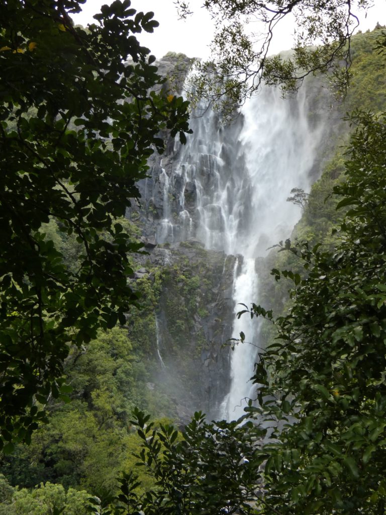 Wairere falls, Kaimais