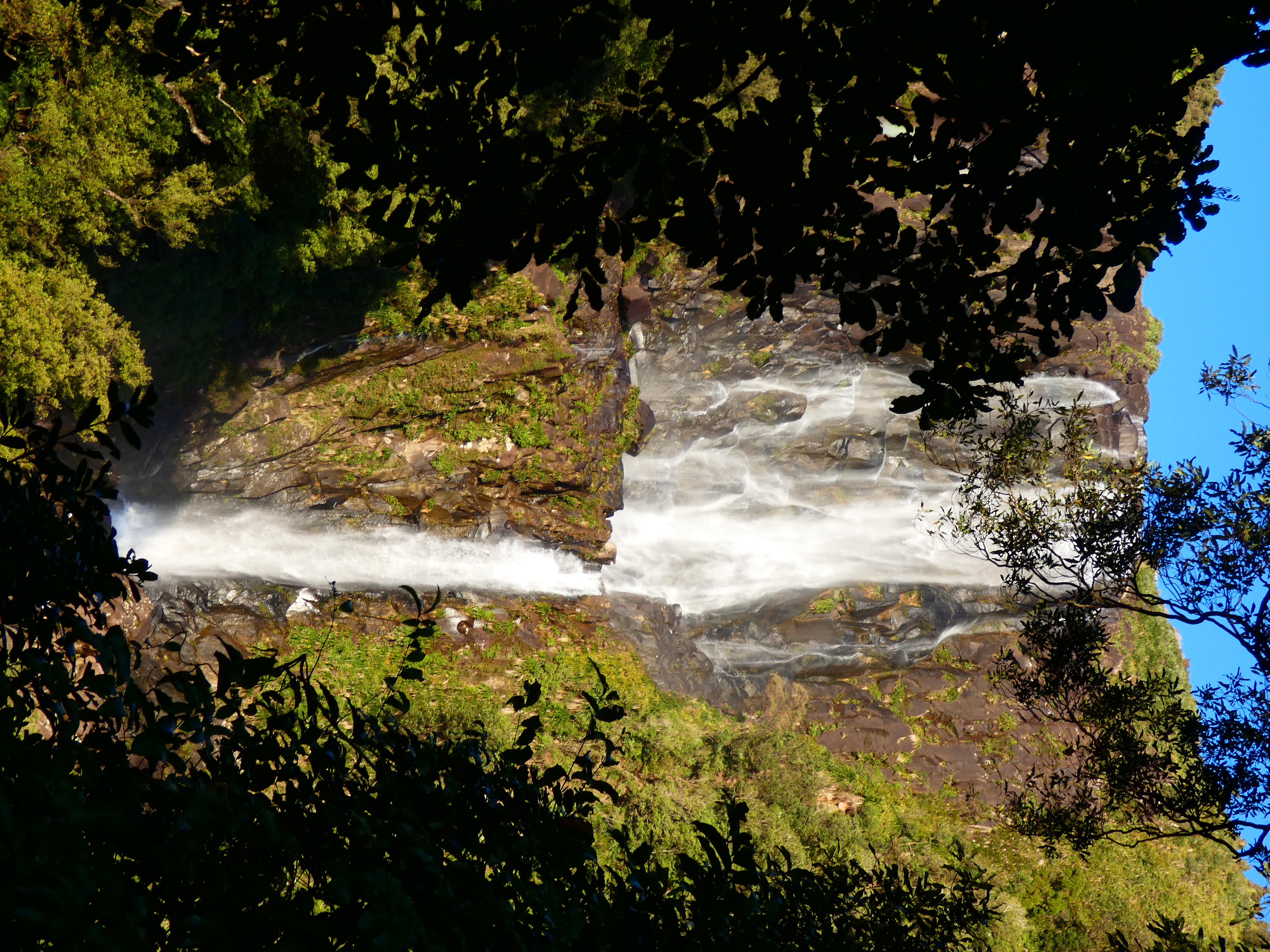 Wairere falls Kaimai range