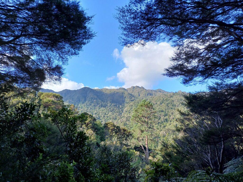 Waiorongomai Valley, Te Aroha, New Zealand